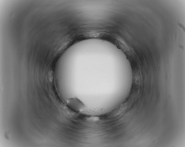 X0000095950374200801110921