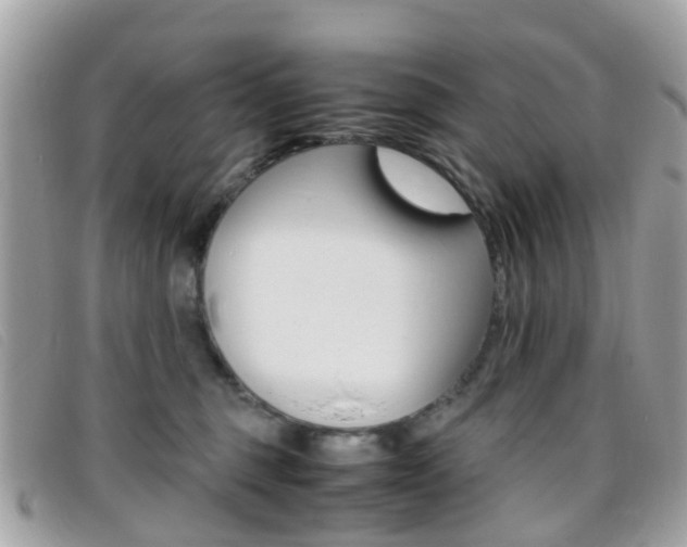 X0000095950375200801110921