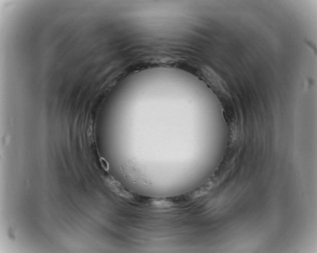 X0000095950376200801110921