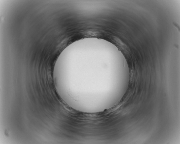 X0000095950377200801110921