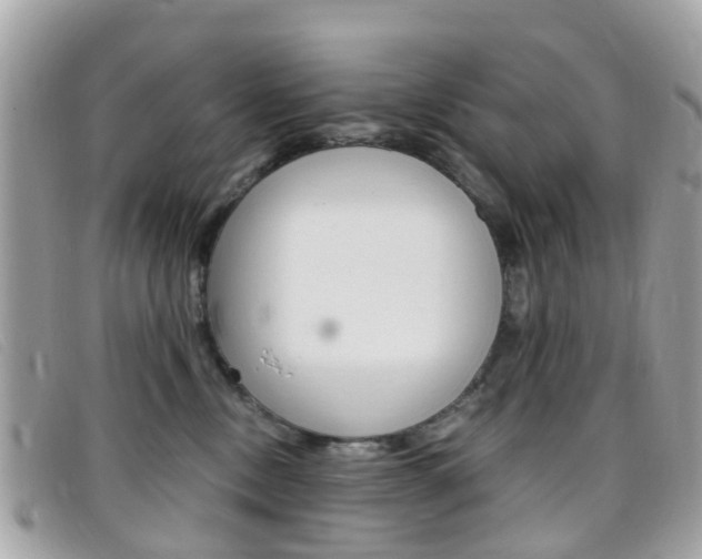 X0000095950378200801110921