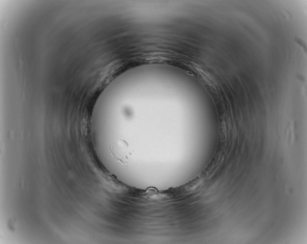 X0000095950379200801110921