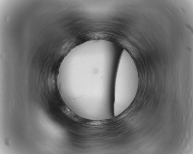 X0000095950381200801110921