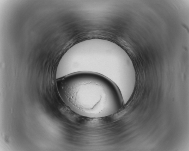 X0000095950382200801110921