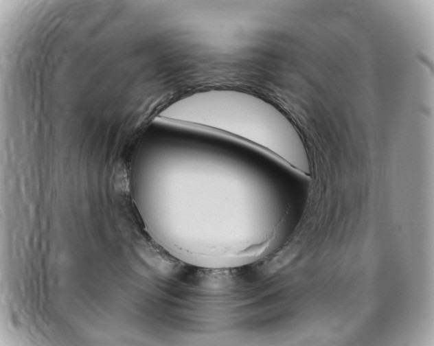 X0000095950384200801110921