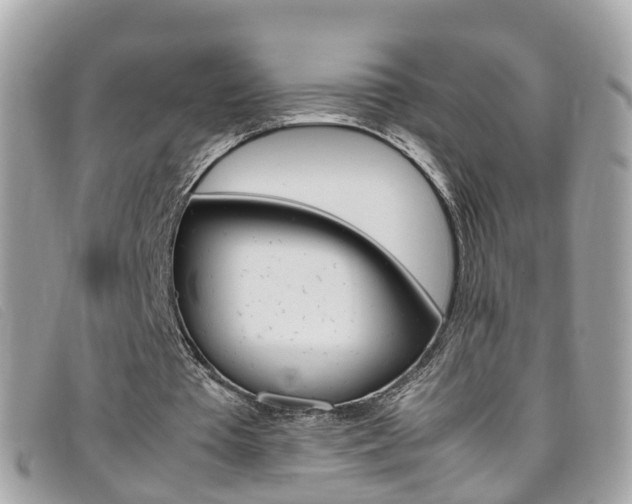 X0000095950385200801110920