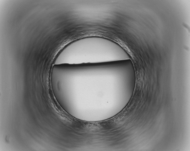 X0000095950386200801110920