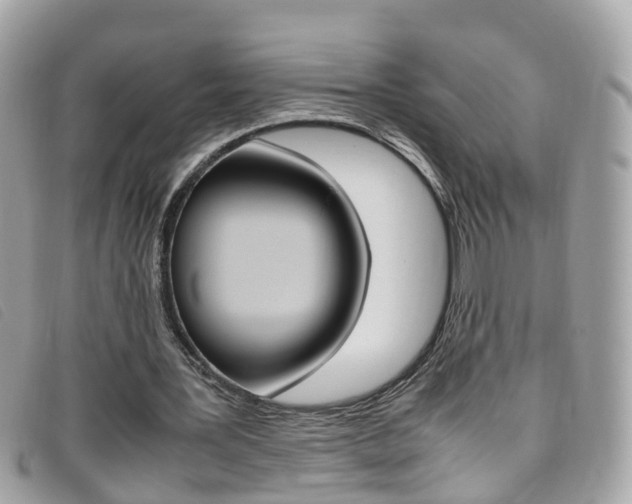 X0000095950387200801110920