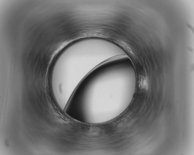 X0000095950388200801110920