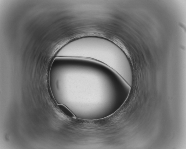 X0000095950389200801110920