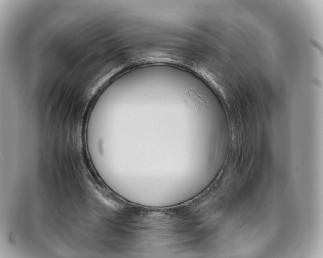 X0000095950390200801110920