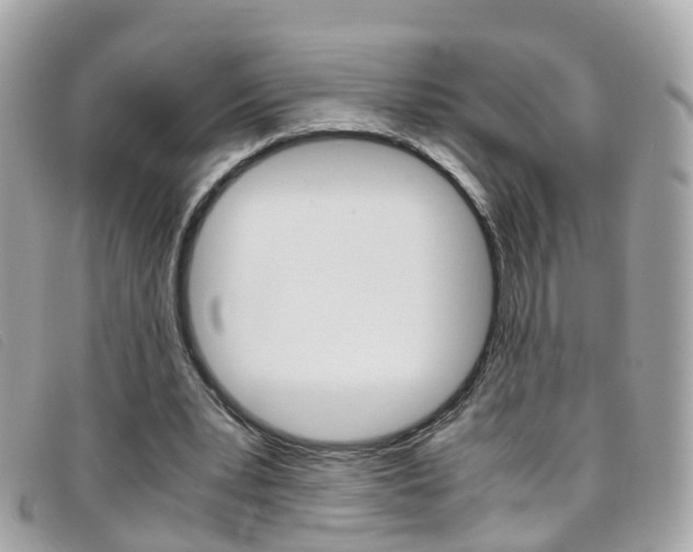 X0000095950391200801110920