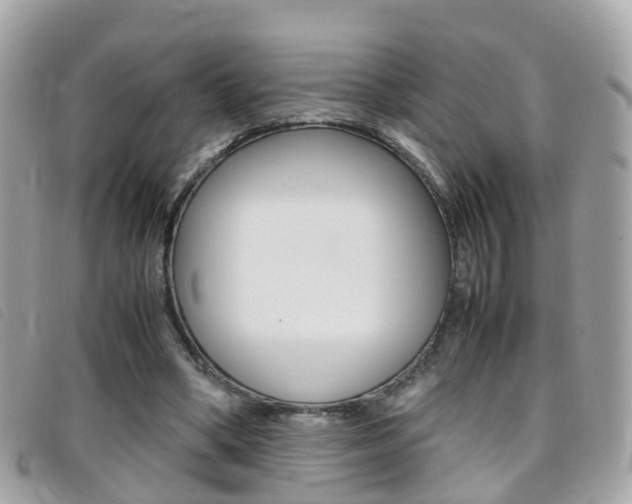 X0000095950394200801110920