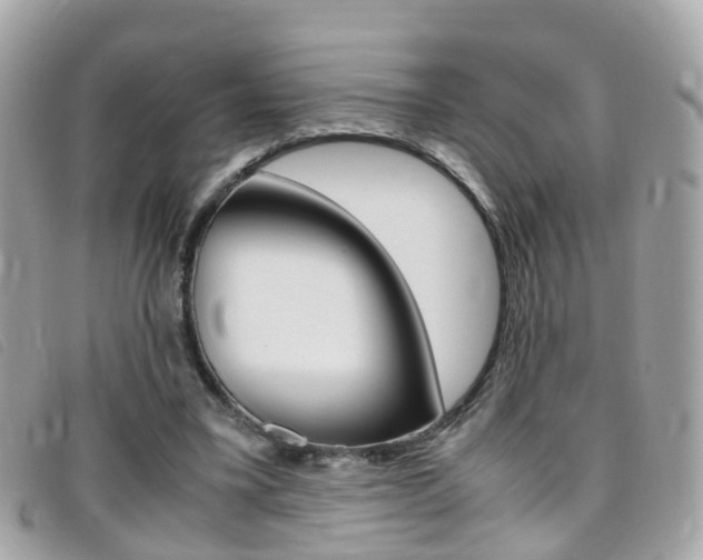 X0000095950395200801110920