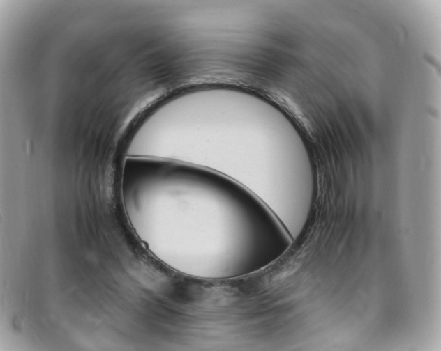 X0000095950396200801110920
