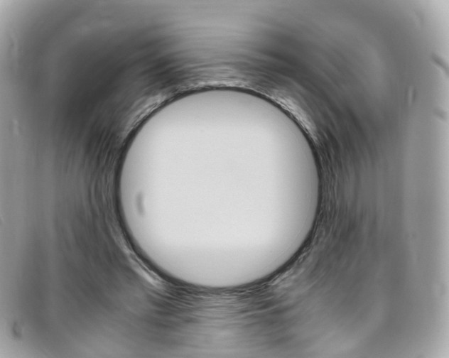 X0000095950397200801110920