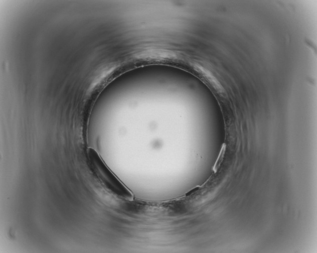 X0000095950399200801110920