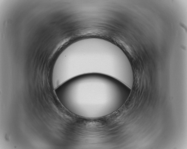 X0000095950400200801110920