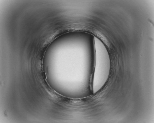 X0000095950401200801110920