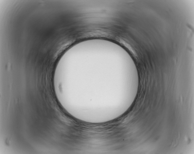 X0000095950403200801110920