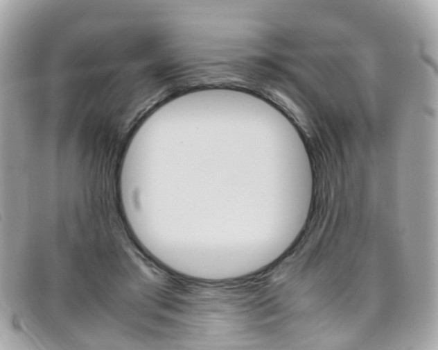 X0000095950405200801110920