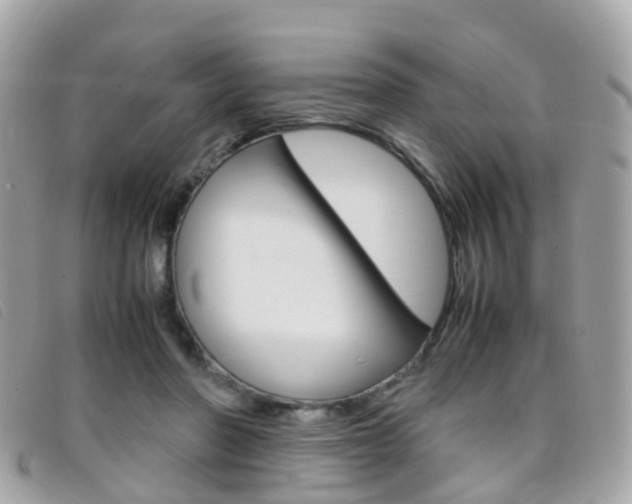 X0000095950406200801110920