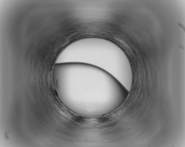 X0000095950409200801110920