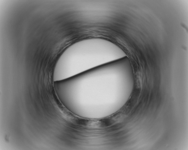 X0000095950410200801110920