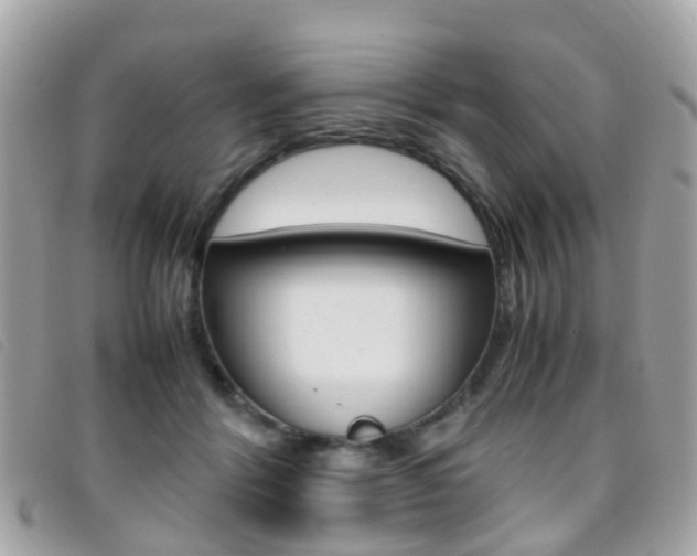 X0000095950412200801110920