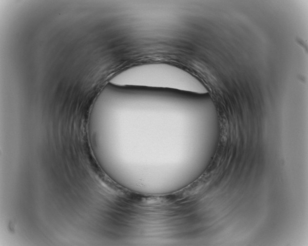 X0000095950414200801110920