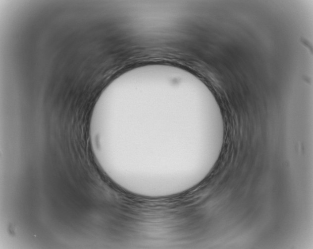 X0000095950415200801110920