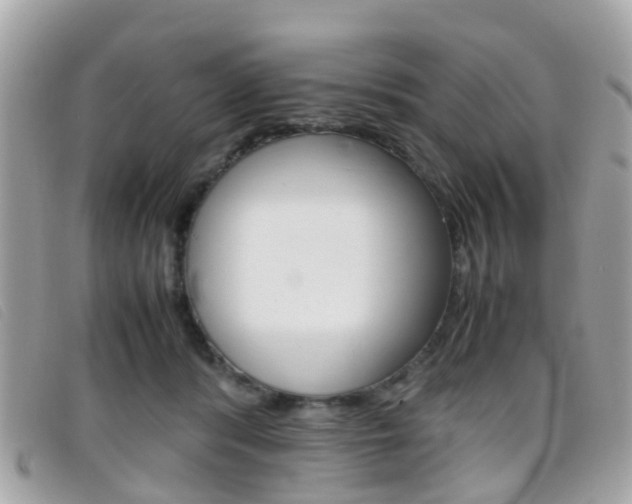 X0000095950416200801110919