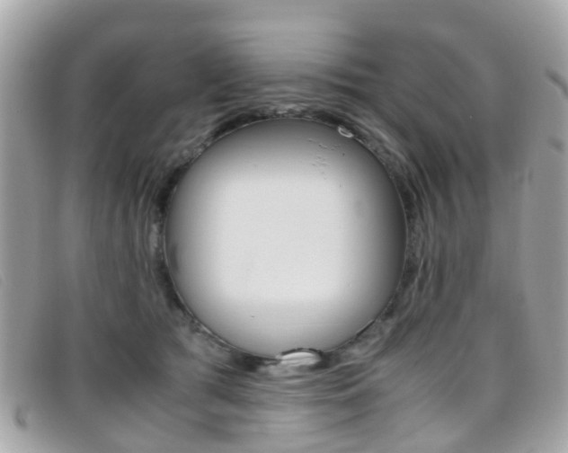 X0000095950417200801110919