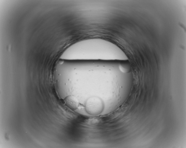 X0000095950418200801110919