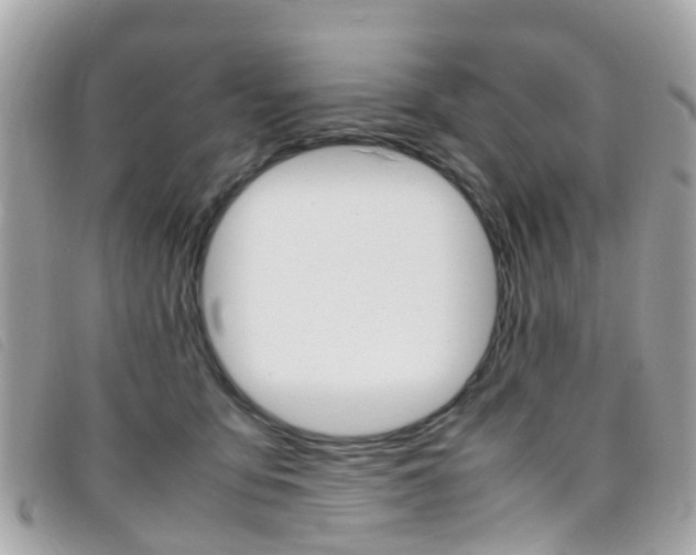X0000095950419200801110919