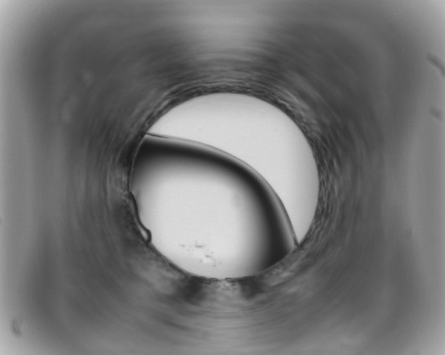 X0000095950421200801110919