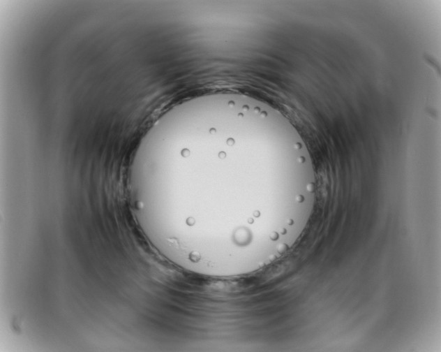 X0000095950422200801110919