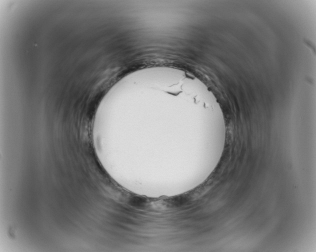 X0000095950423200801110919