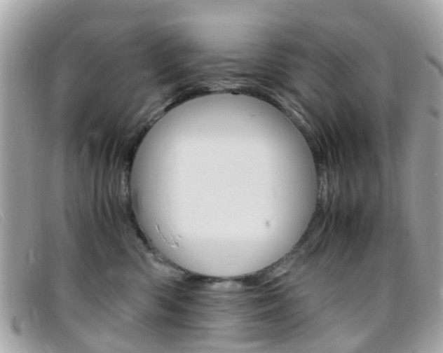 X0000095950426200801110919