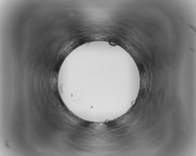 X0000095950427200801110919