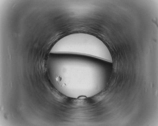 X0000095950428200801110919