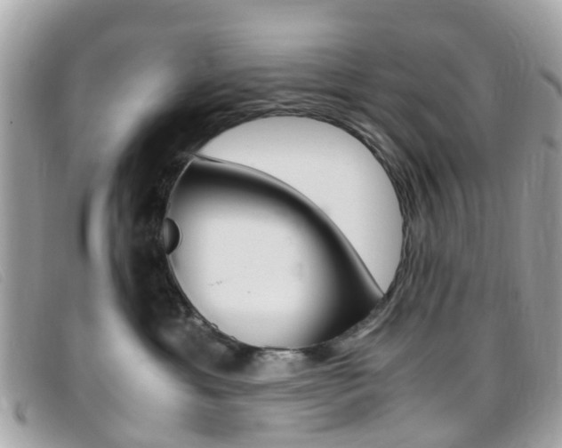 X0000095950429200801110919