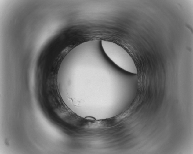 X0000095950430200801110919