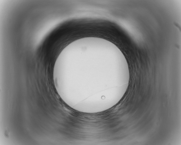 X0000095950431200801110919