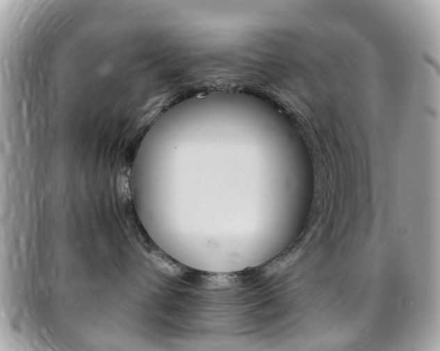X0000095950432200801110919