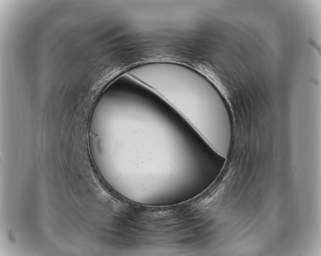 X0000095950433200801110919
