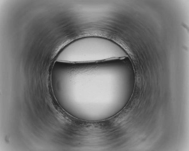 X0000095950434200801110919