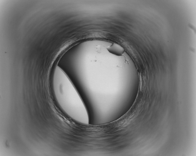 X0000095950435200801110919