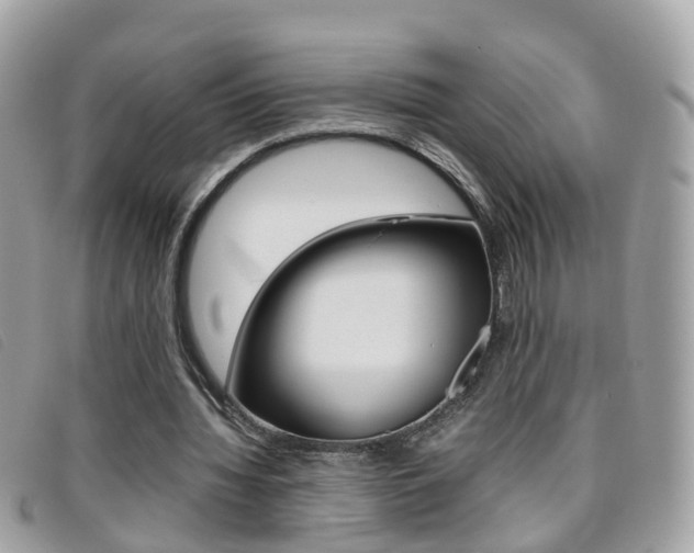 X0000095950436200801110919