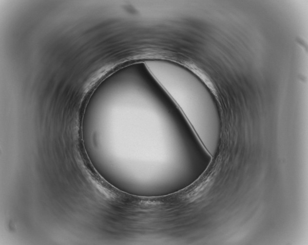 X0000095950437200801110919